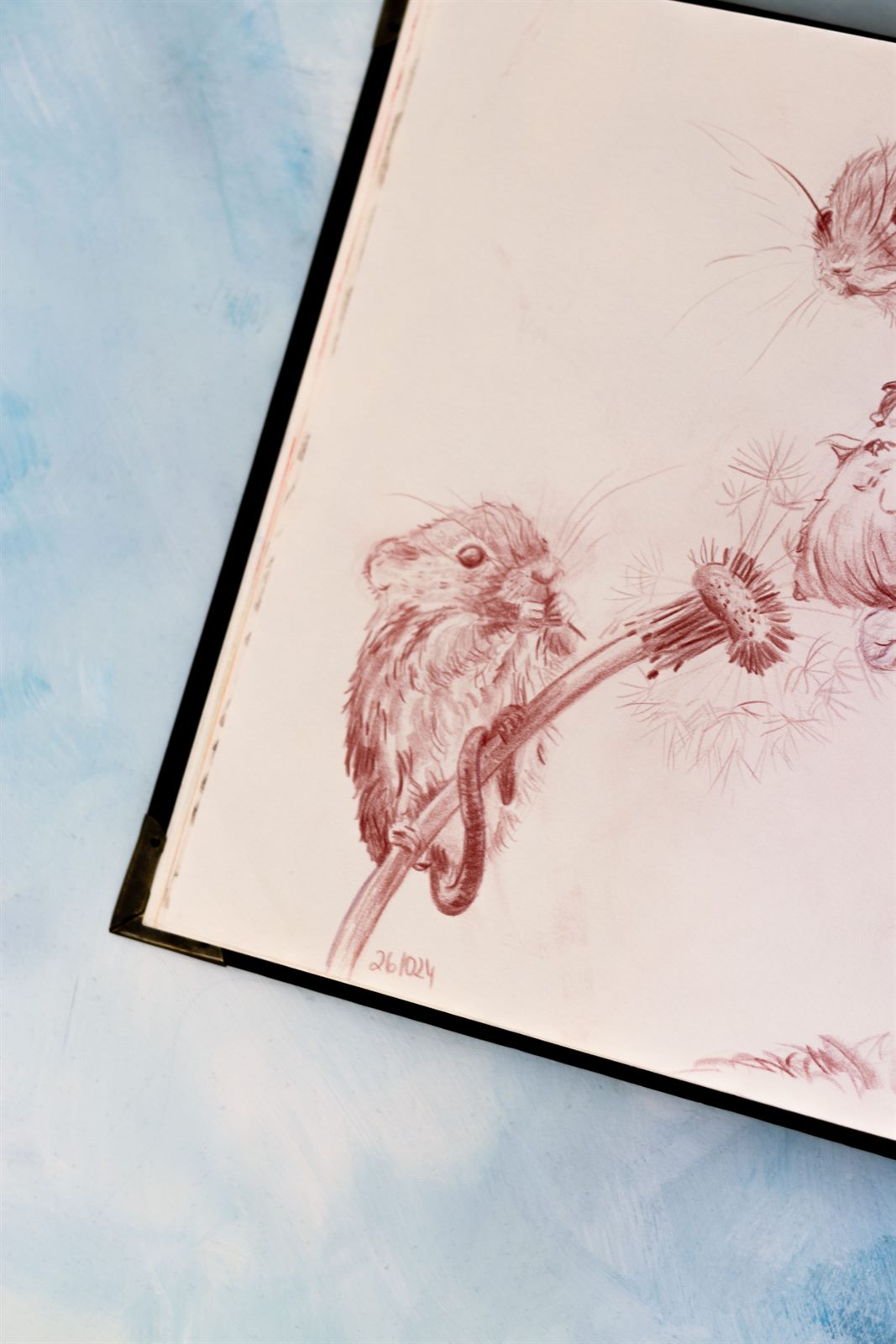 Zwergmaus an der Pusteblume, Detail